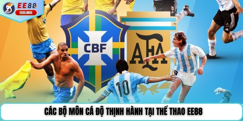 Các bộ môn cá độ thịnh hành tại thể thao EE88
